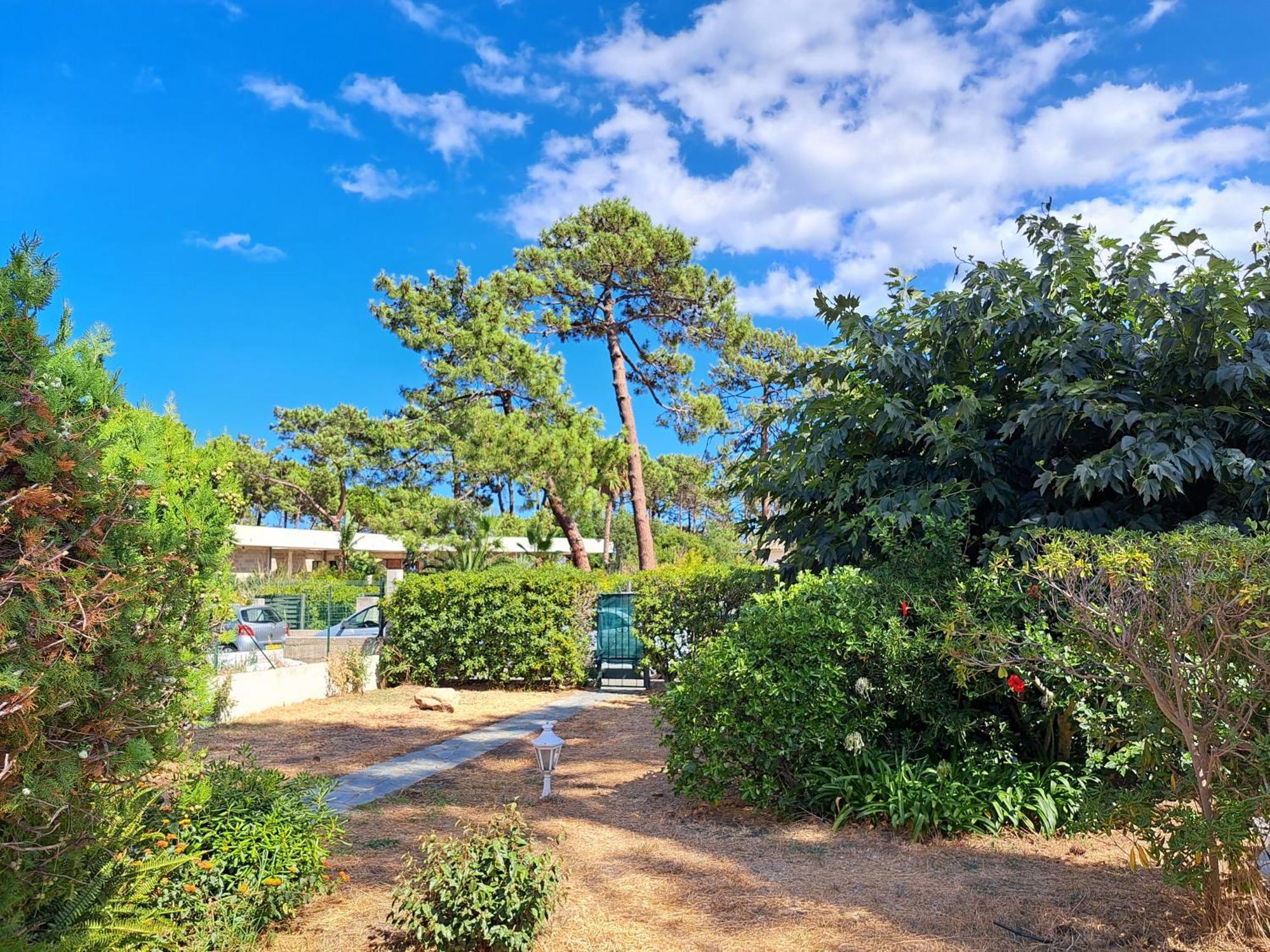 Mini Villa Jardin 50 M Plage Борго Экстерьер фото
