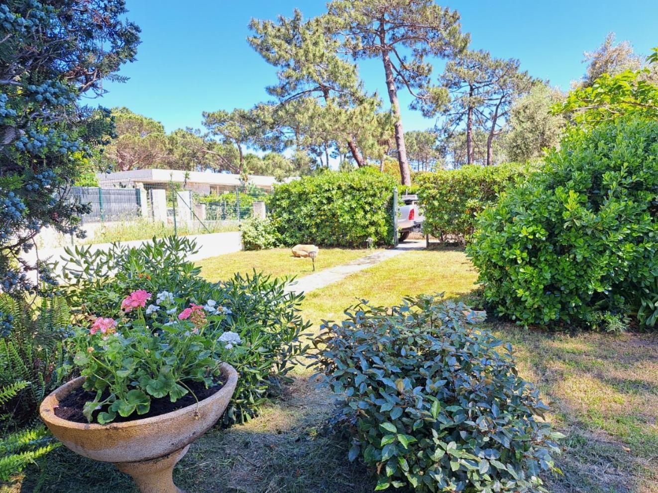Mini Villa Jardin 50 M Plage Борго Экстерьер фото